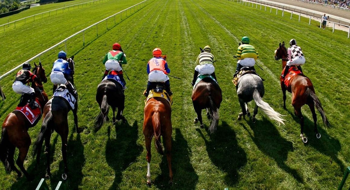 Horse Racing Betting